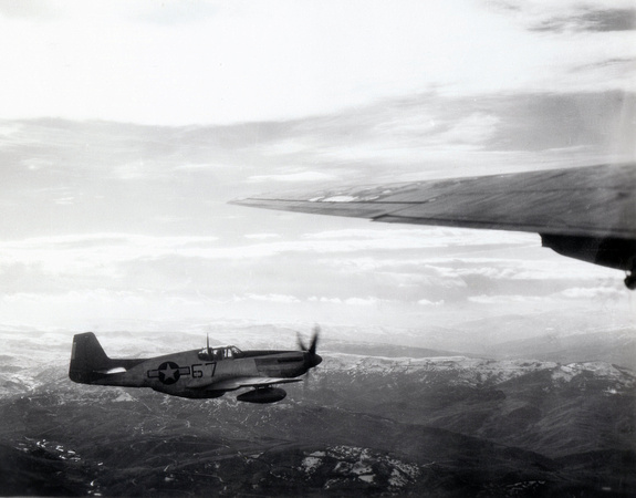 Tuskegee Airmen