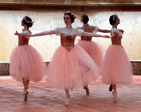 Festival Ballet